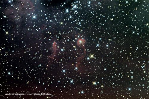 IC 410 (Andy Strappazzon, 2011)