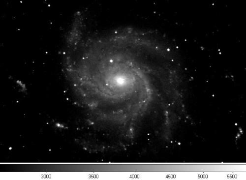 M101 (Favero 2012)