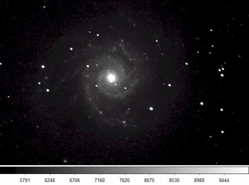 M74 (Favero 2011)