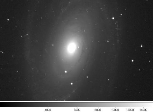 M81 (Favero 2012)