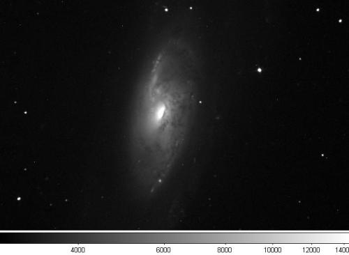 M94 (Favero 2012)