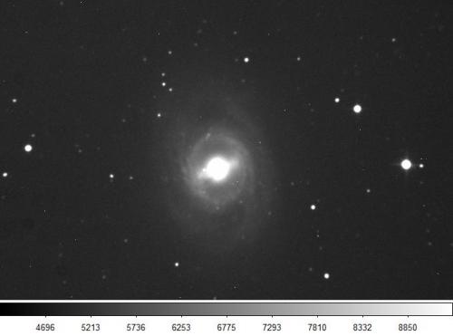 M95 (Favero 2011)