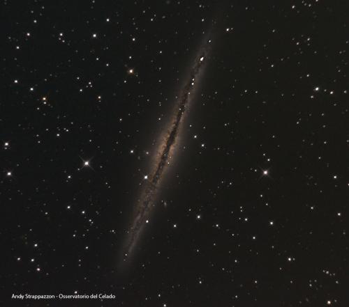 NGC 891 (Andy Strappazzon, 2011)